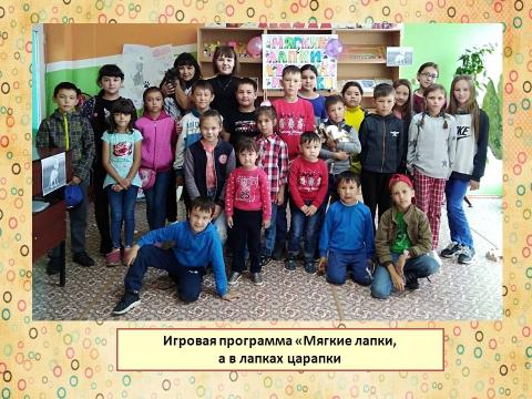 День кошек